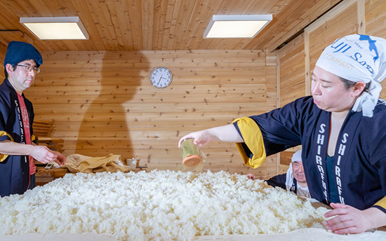 アメリカで挑戦する日本酒と焼酎 Shirafuji Sake Brewery での酒造り