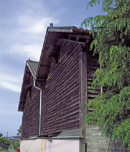 Shirafuji Sake Brewery での酒造り