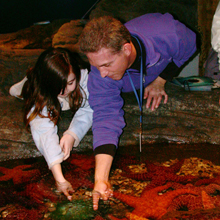 シアトル水族館 Seattle Aquarium