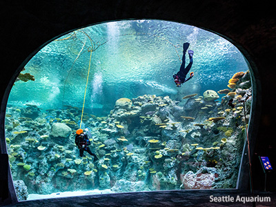 Seattle Aquarium