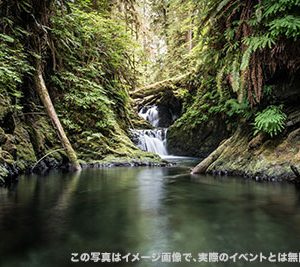 イベントのイメージ画像